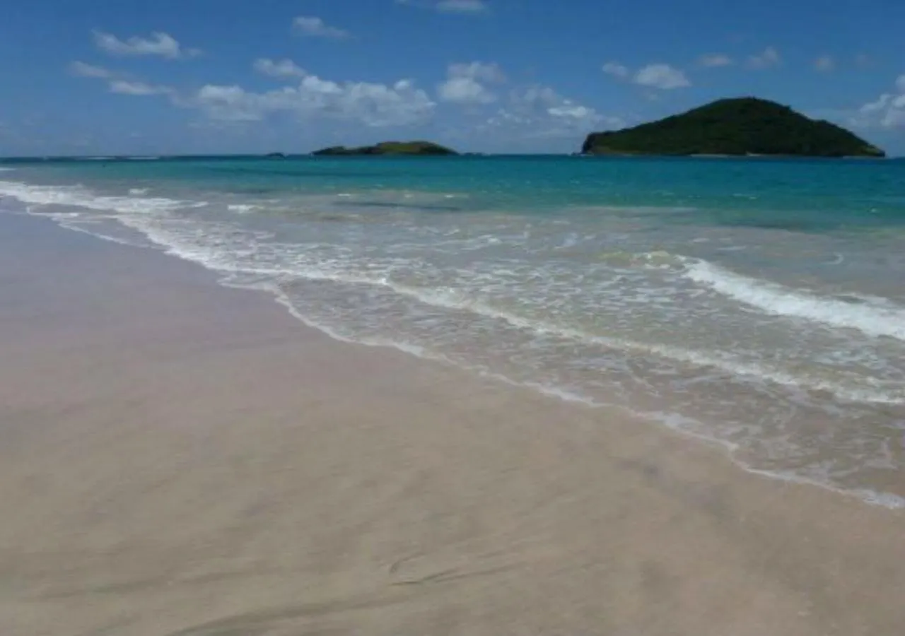 ****  The Reef Beach Huts Hotel Vieux Fort Saint Lucia