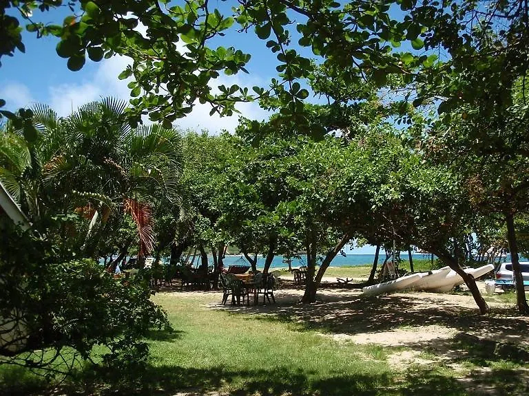 ****  The Reef Beach Huts Hotel Vieux Fort Saint Lucia